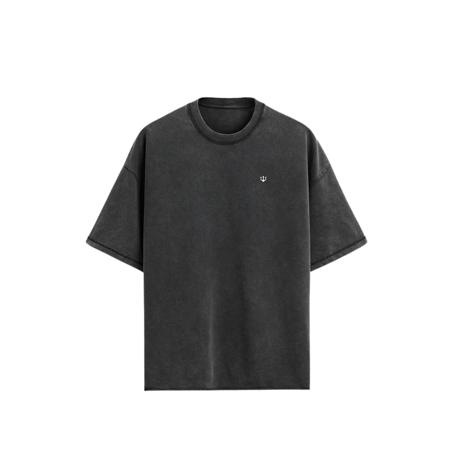 Camiseta Ambition